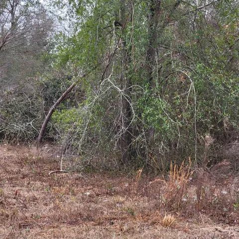 $175,000 | Vacant 20-ac Southeast Vacant 20-ac Se Parliament Trail, Lee, FL 32059