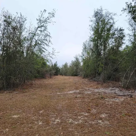 $175,000 | Vacant 20-ac Southeast Vacant 20-ac Se Parliament Trail, Lee, FL 32059