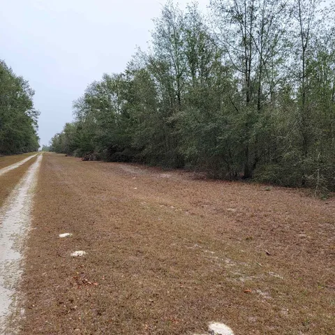 $175,000 | Vacant 20-ac Southeast Vacant 20-ac Se Parliament Trail, Lee, FL 32059