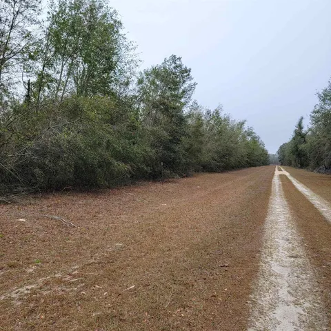 $175,000 | Vacant 20-ac Southeast Vacant 20-ac Se Parliament Trail, Lee, FL 32059
