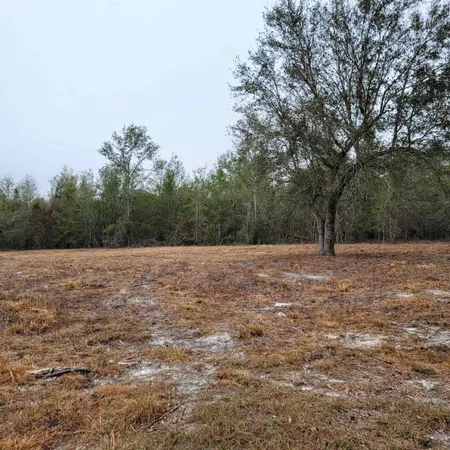 $175,000 | Vacant 20-ac Southeast Vacant 20-ac Se Parliament Trail, Lee, FL 32059