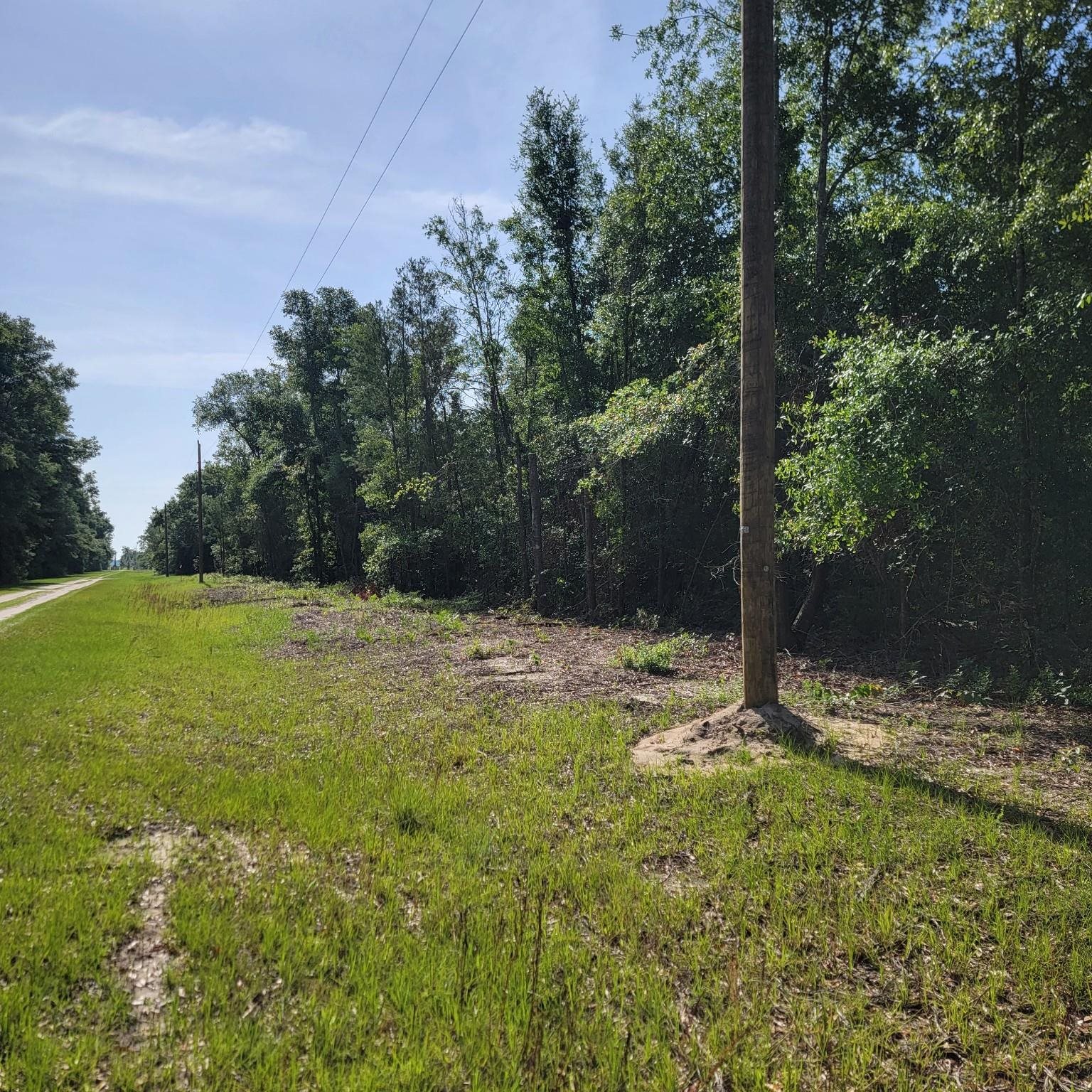 Vacant 20-ac Southeast Vacant 20-ac Se Parliament Trail Lee, FL 32059 - Photo 2 of 9