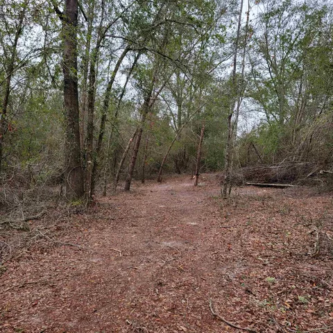 $175,000 | Vacant 20-ac Southeast Vacant 20-ac Se Parliament Trail, Lee, FL 32059