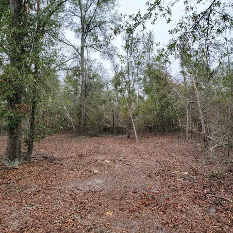 $175,000 | Vacant 20-ac Southeast Vacant 20-ac Se Parliament Trail, Lee, FL 32059