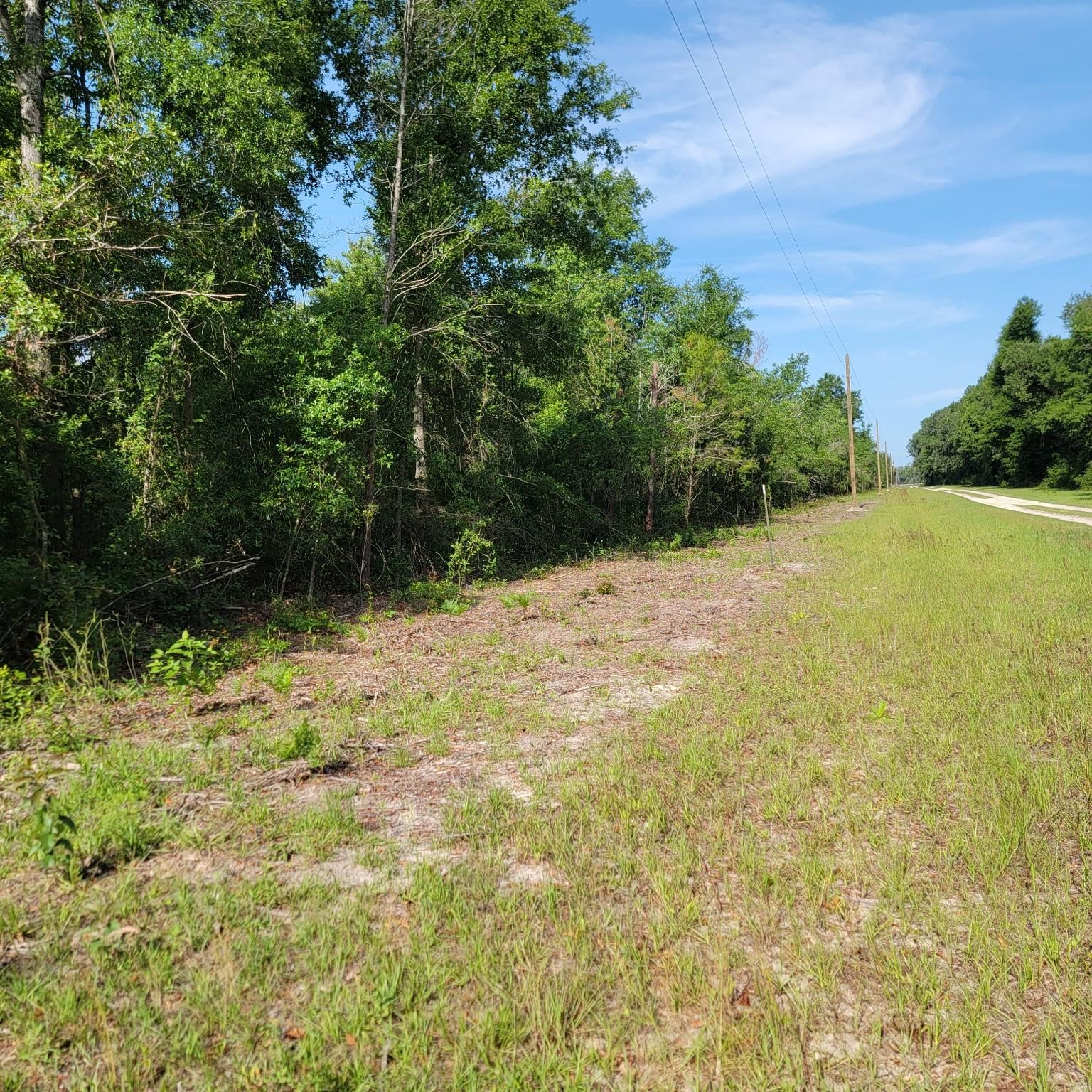 Vacant 20-ac Southeast Vacant 20-ac Se Parliament Trail Lee, FL 32059 - Photo 4 of 9