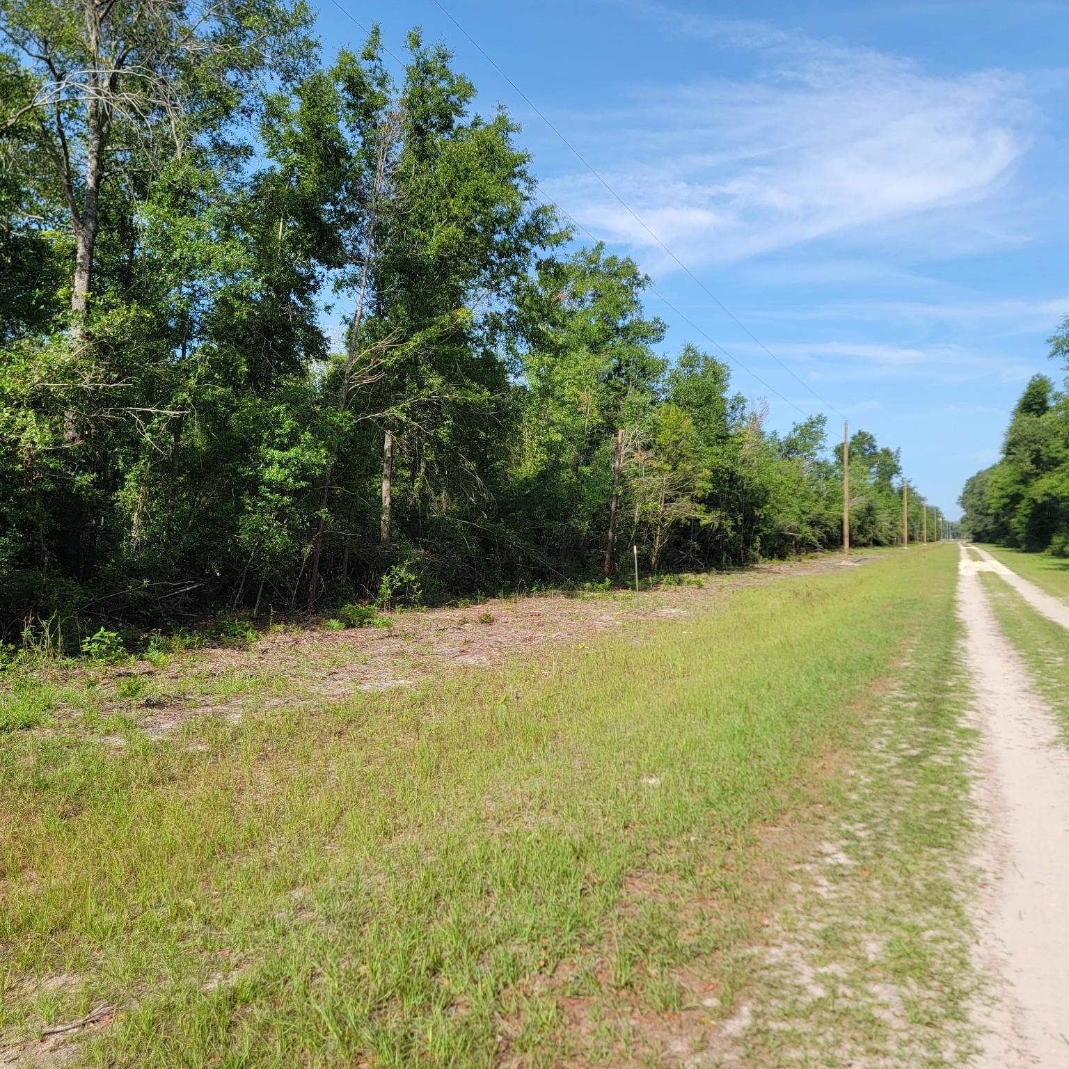 Vacant 20-ac Southeast Vacant 20-ac Se Parliament Trail Lee, FL 32059 - Photo 5 of 9