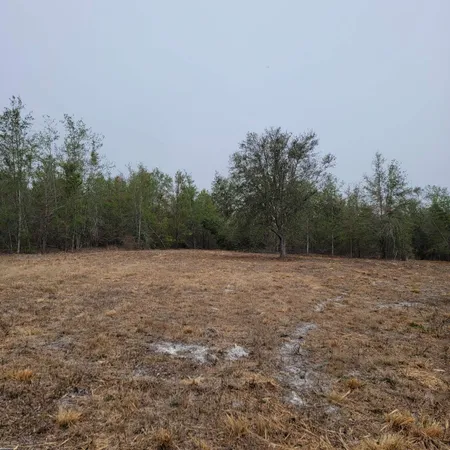 $175,000 | Vacant 20-ac Southeast Vacant 20-ac Se Parliament Trail, Lee, FL 32059