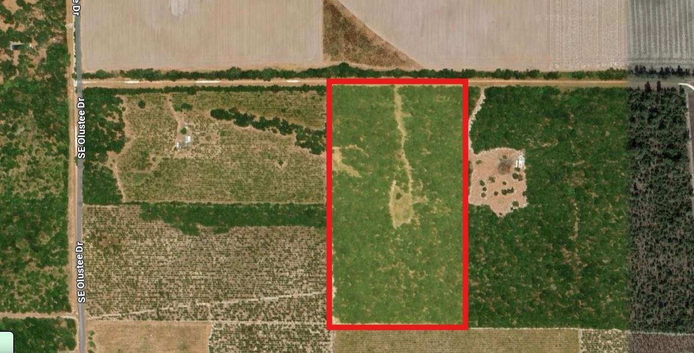 Vacant 20-ac Southeast Vacant 20-ac Se Parliament Trail Lee, FL 32059 - Photo 6 of 9