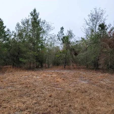 $175,000 | Vacant 20-ac Southeast Vacant 20-ac Se Parliament Trail, Lee, FL 32059