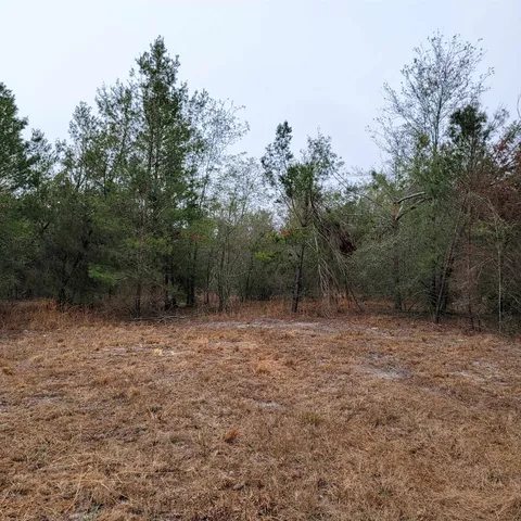 $175,000 | Vacant 20-ac Southeast Vacant 20-ac Se Parliament Trail, Lee, FL 32059