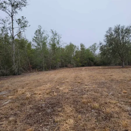 $175,000 | Vacant 20-ac Southeast Vacant 20-ac Se Parliament Trail, Lee, FL 32059