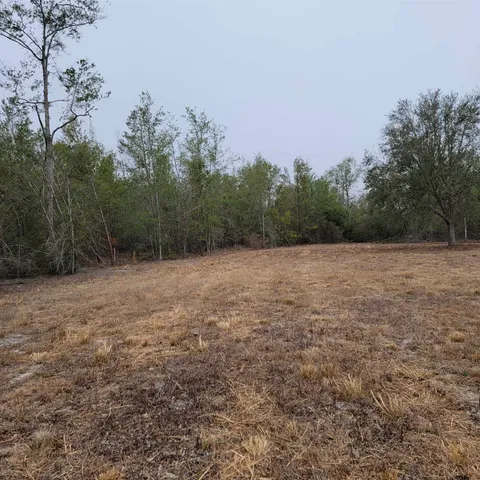 $175,000 | Vacant 20-ac Southeast Vacant 20-ac Se Parliament Trail, Lee, FL 32059
