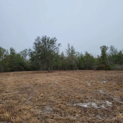 $175,000 | Vacant 20-ac Southeast Vacant 20-ac Se Parliament Trail, Lee, FL 32059