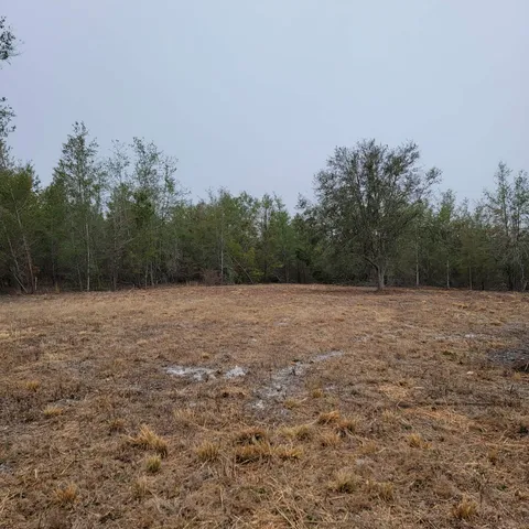 $175,000 | Vacant 20-ac Southeast Vacant 20-ac Se Parliament Trail, Lee, FL 32059