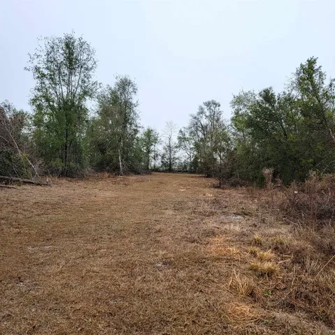 $175,000 | Vacant 20-ac Southeast Vacant 20-ac Se Parliament Trail, Lee, FL 32059