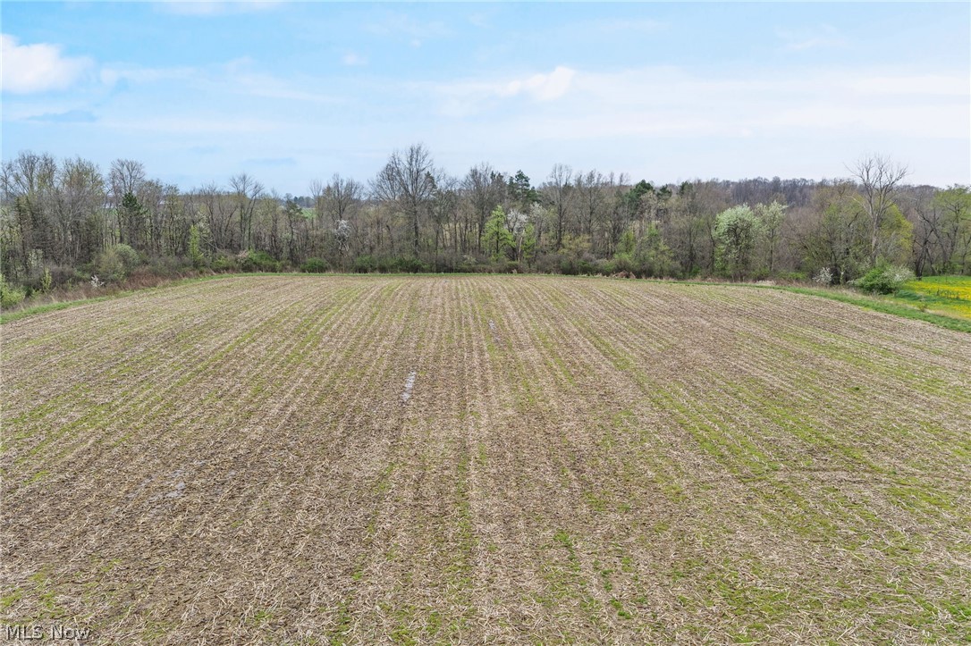 4144 Greenwich Road Seville, OH 44273 - Photo 5 of 10