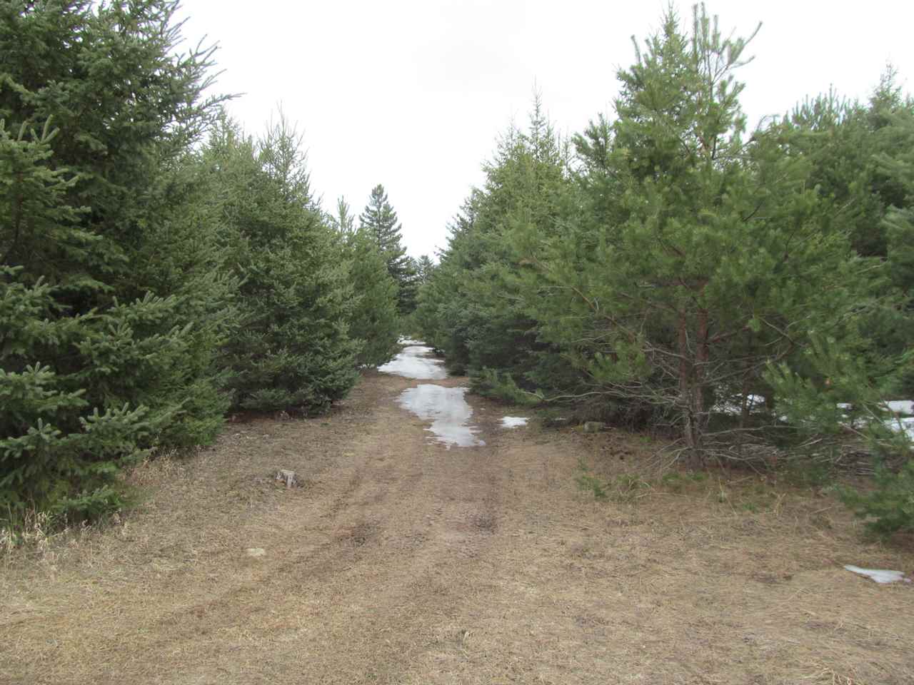 8451 East 18 1/2 Road Manton, MI 49663 - Photo 37 of 46 1885343-36.JPG