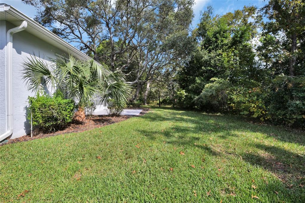 58 Byrsonima Loop Homosassa, FL 34446 - Photo 41 of 43 a view of backyard with green space