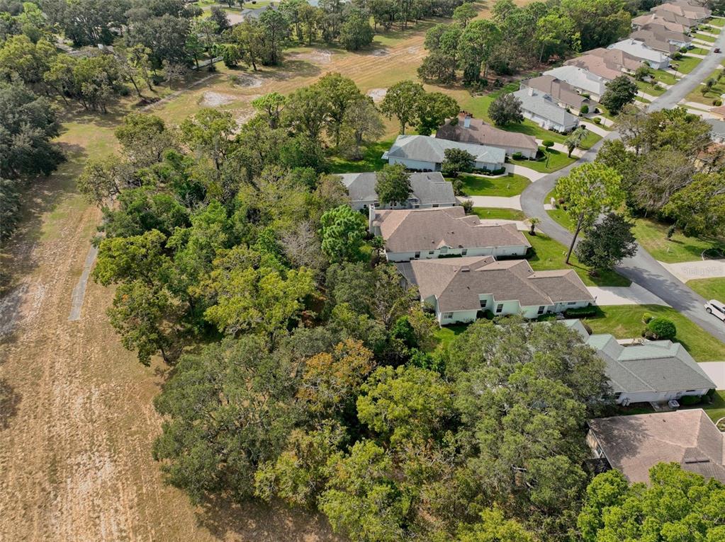 58 Byrsonima Loop Homosassa, FL 34446 - Photo 5 of 43 an aerial view of residential house with outdoor space and trees all around