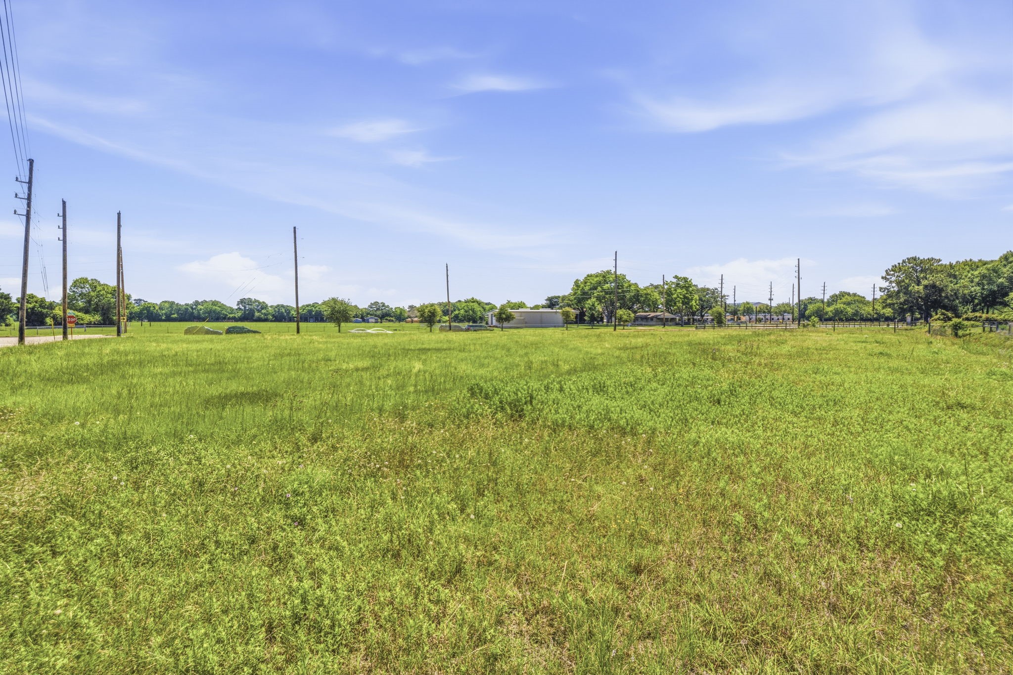 0 Mueschke Road Tomball, TX 77377 - Photo 38 of 44 a view of a grassy field with trees in the background