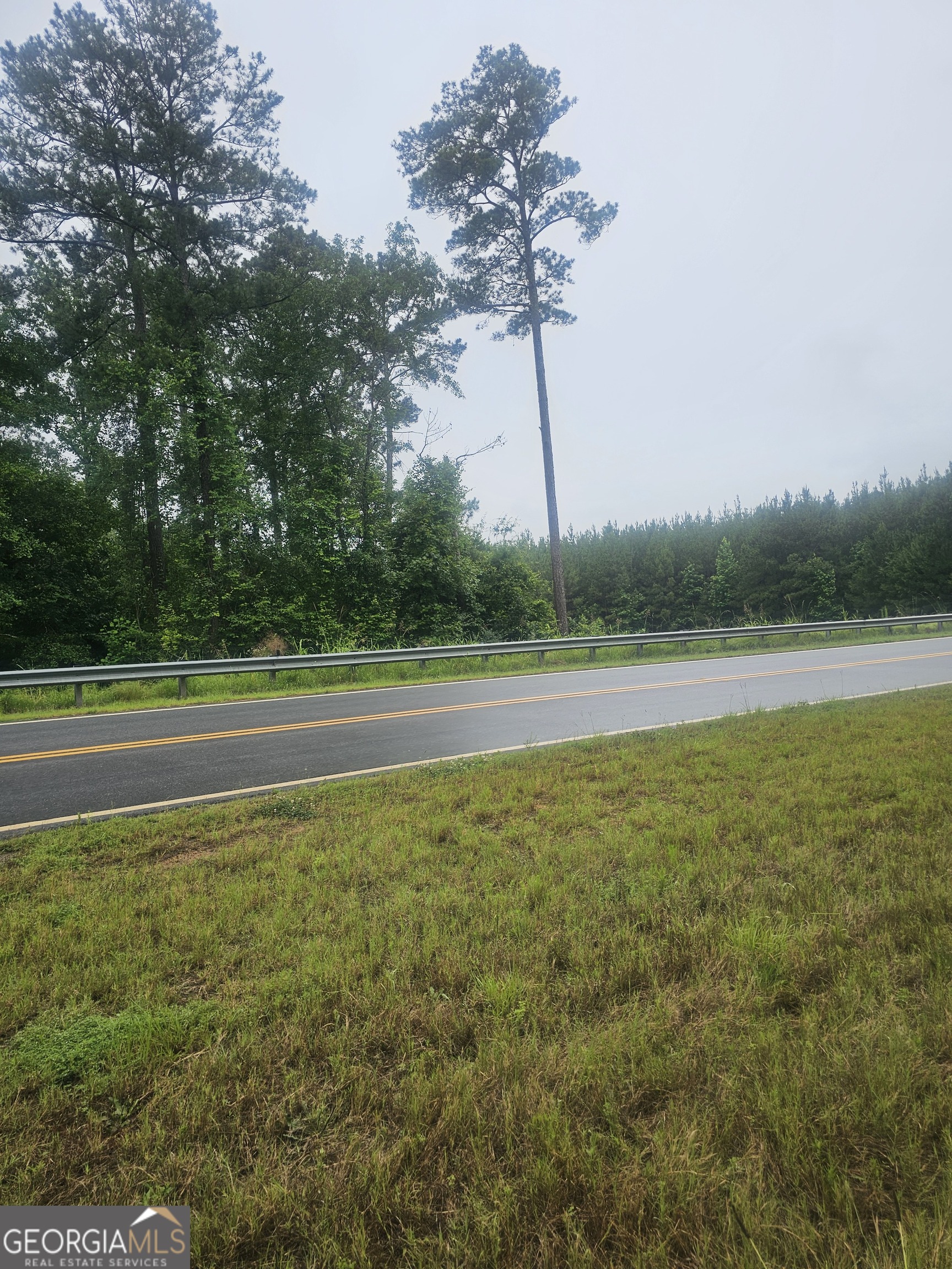 2755 Peeksville Road Locust Grove, GA 30248 - Photo 11 of 14