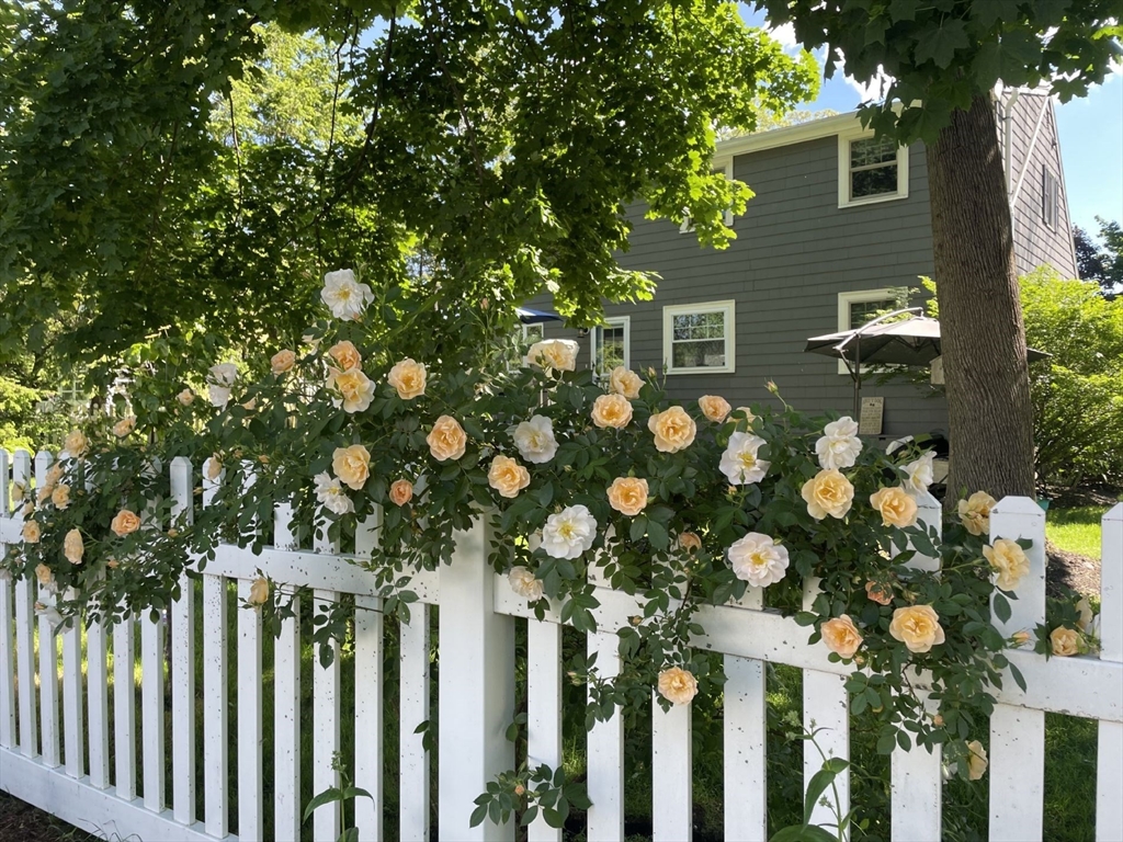 4 Carter Road Woburn, MA 01801 - Photo 28 of 28 a front view of a house with a garden