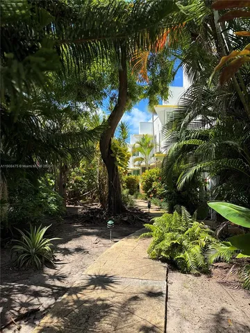 a plant that is sitting in the middle of a yard