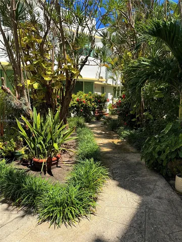 a view of a garden with plants