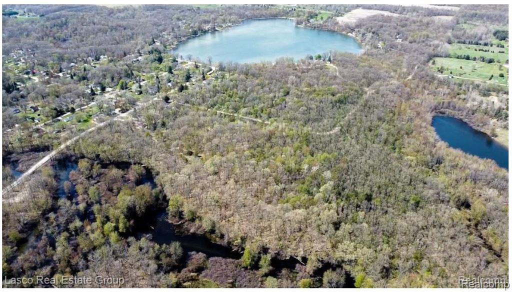 0 McCaslin Lake Road Linden, MI 48451 - Photo 1 of 6