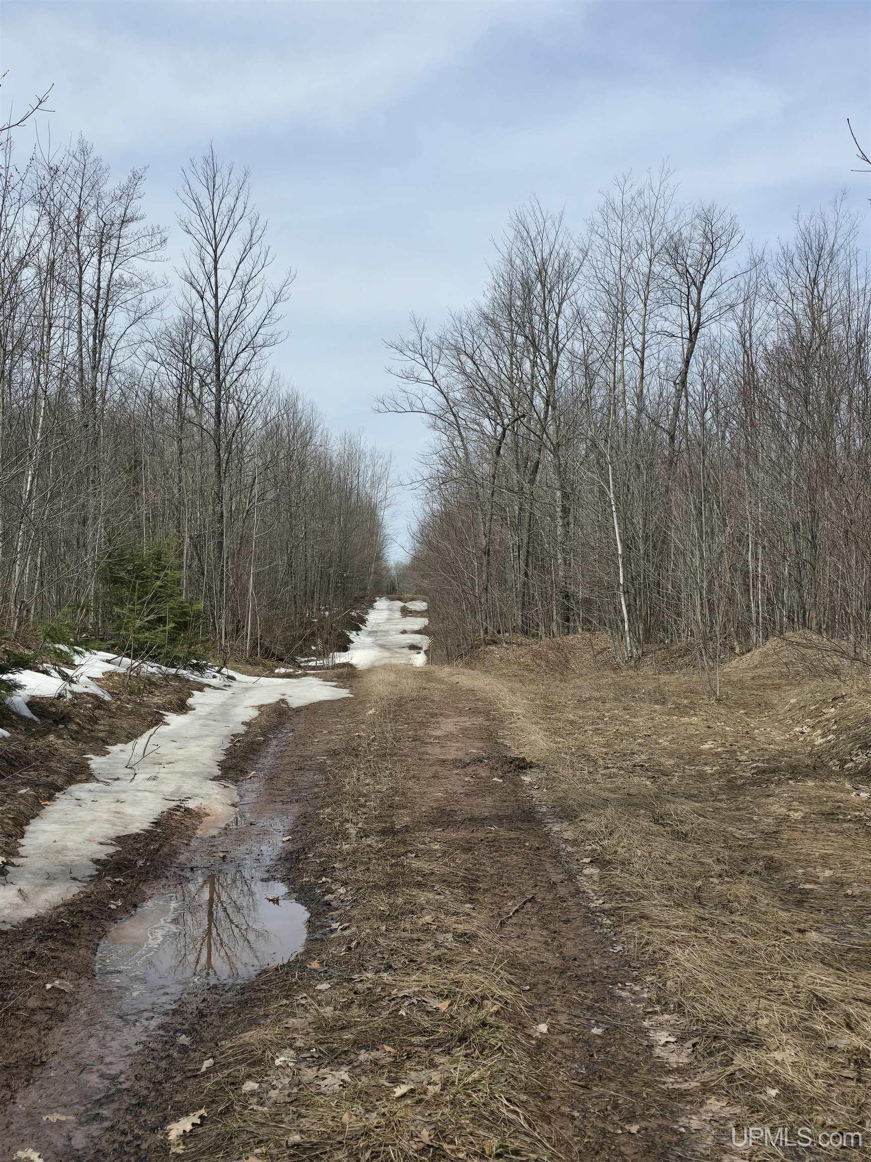 Tbd Woodspur Road Ontonagon, MI 49953 - Photo 46 of 46