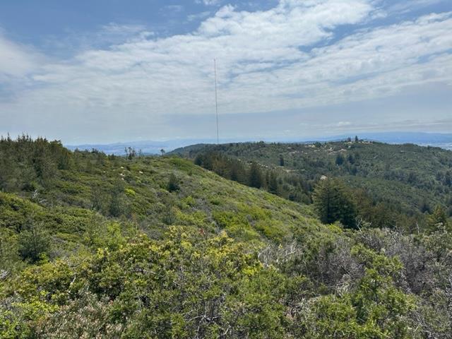 15950 Summit Road Watsonville, CA 95076 - Photo 22 of 27 a view of a green field with lots of bushes