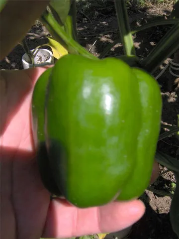 $1,250,000 | 274 Albion Road, Lincoln, RI 02865