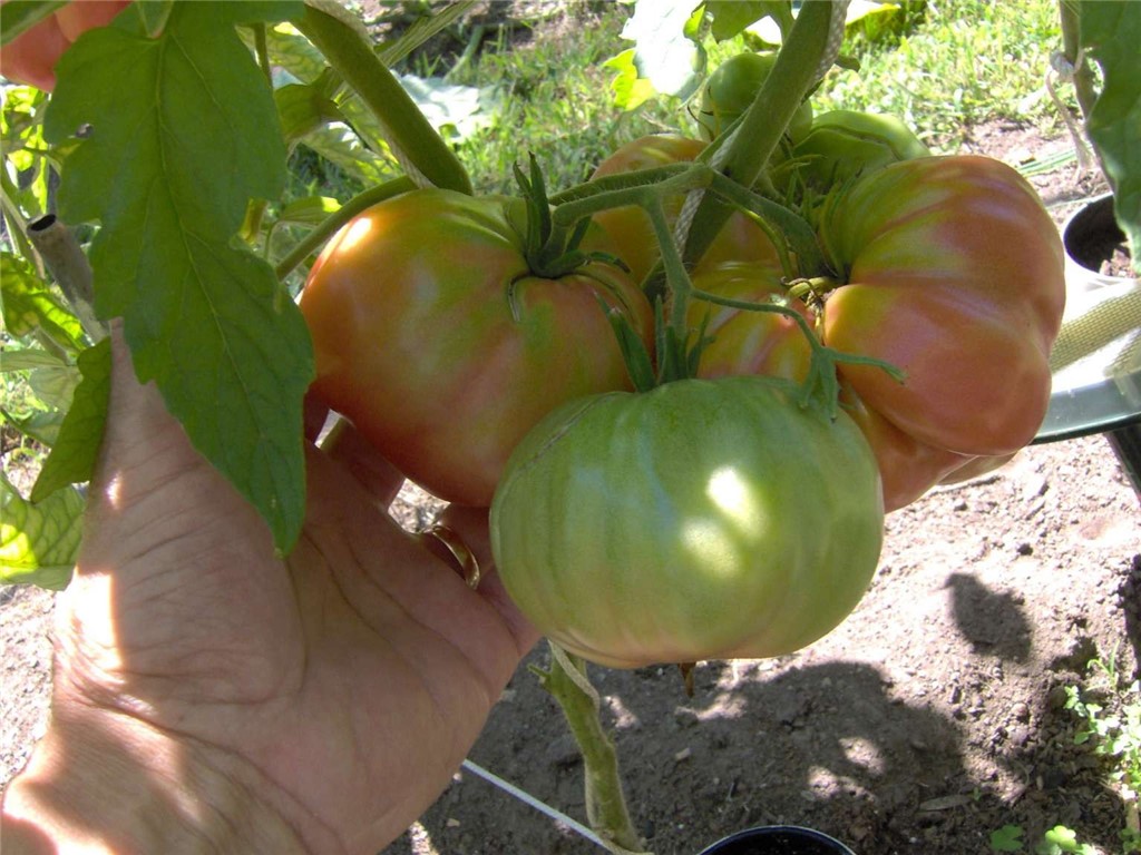 274 Albion Road Lincoln, RI 02865 - Photo 17 of 20