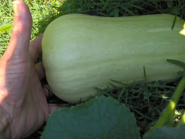 $1,150,000 | 274 Albion Road, Lincoln, RI 02865