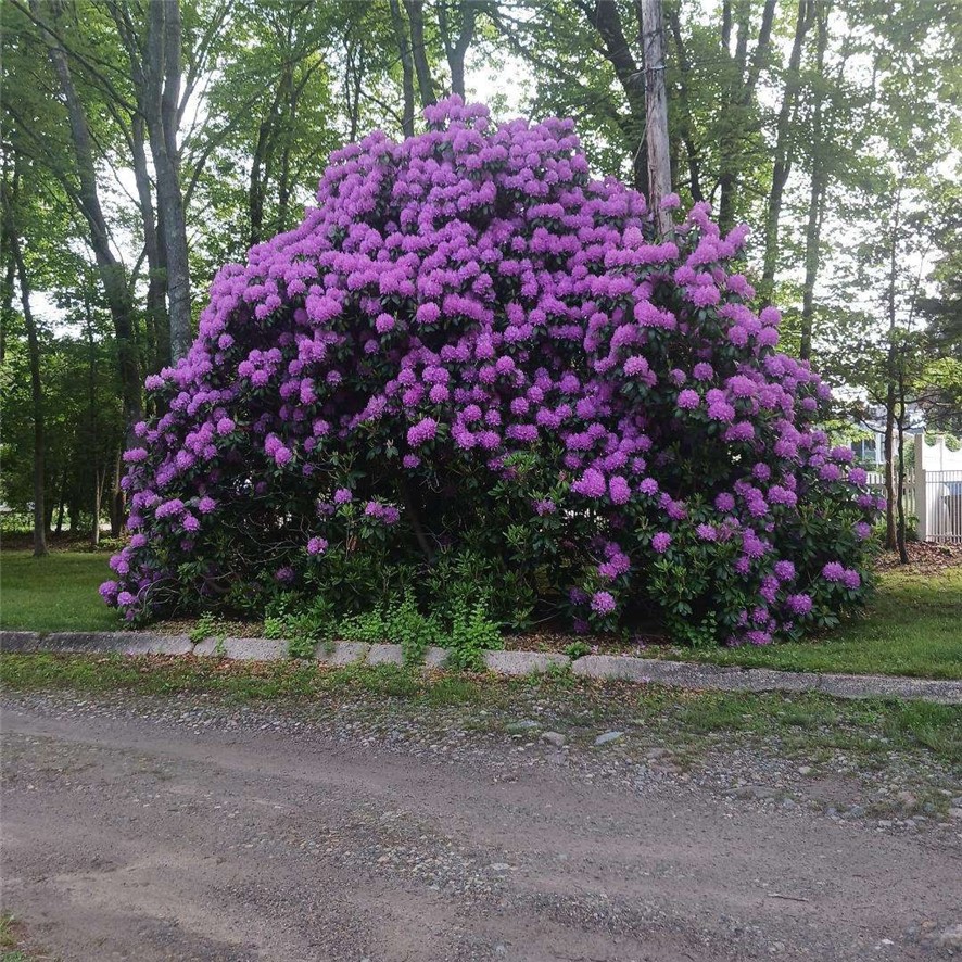 274 Albion Road Lincoln, RI 02865 - Photo 20 of 20