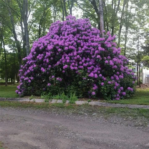 $1,150,000 | 274 Albion Road, Lincoln, RI 02865