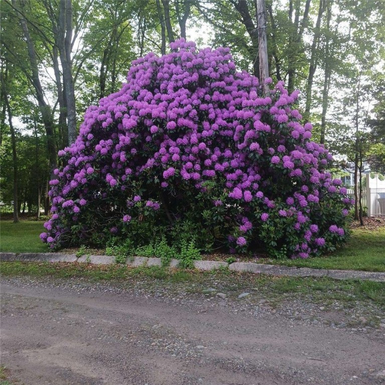 274 Albion Road Lincoln, RI 02865 - Photo 20 of 20