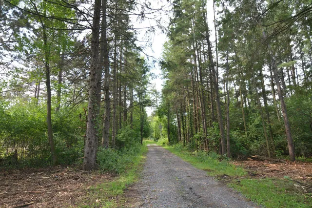 $329,000 | 13149 Highway 23, Milaca, MN 56353