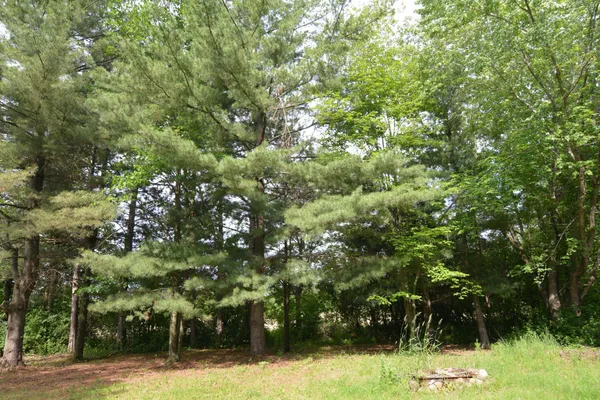 $319,000 | 13149 Highway 23, Milaca, MN 56353