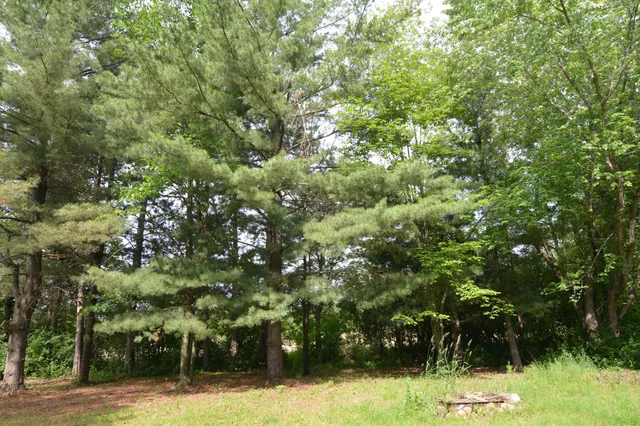 $329,000 | 13149 Highway 23, Milaca, MN 56353