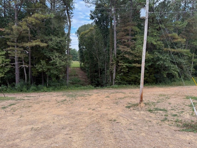 22 Ghea Road Normandy, TN 37360 - Photo 25 of 40 a backyard of a house with a trees