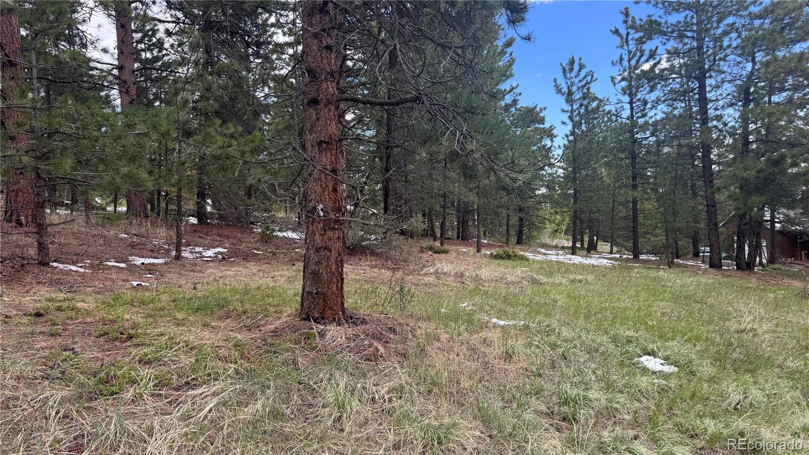 717 Crescent Lake Road Golden, CO 80403 - Photo 10 of 27