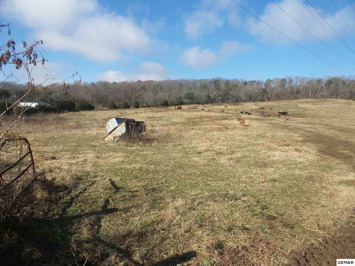 0 Dalton Road New Market, TN 37820 - Photo 25 of 27 Gallery Image 25