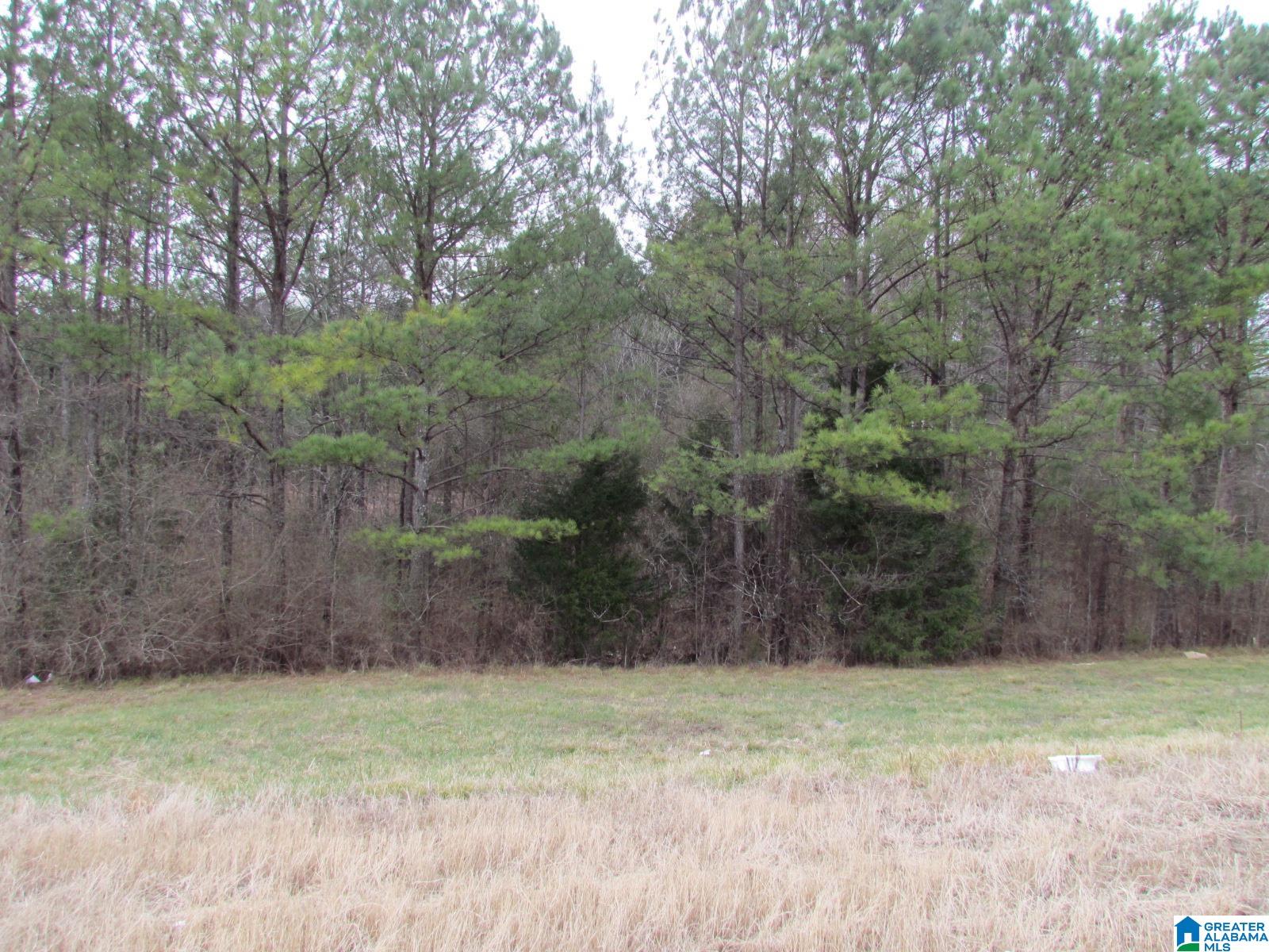 0 Highway 75 Oneonta, AL 35121 - Photo 4 of 6
