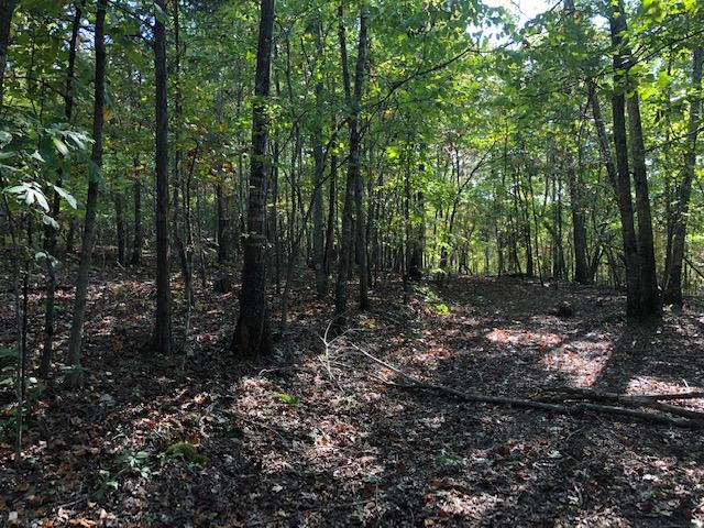 901 Laurel Bluff Road Kingston, TN 37763 - Photo 8 of 10 image2