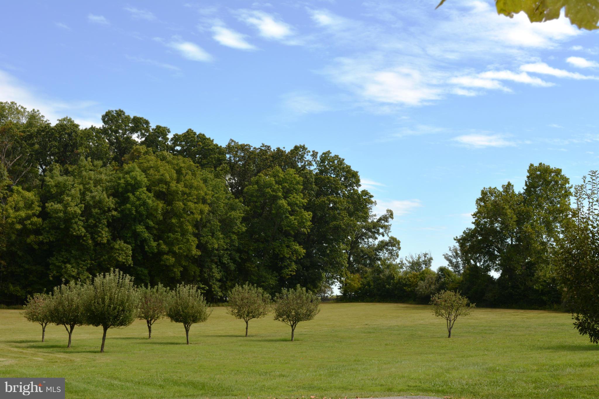 2352 Crenshaw Road Marshall, VA 20115 - Photo 3 of 14 View