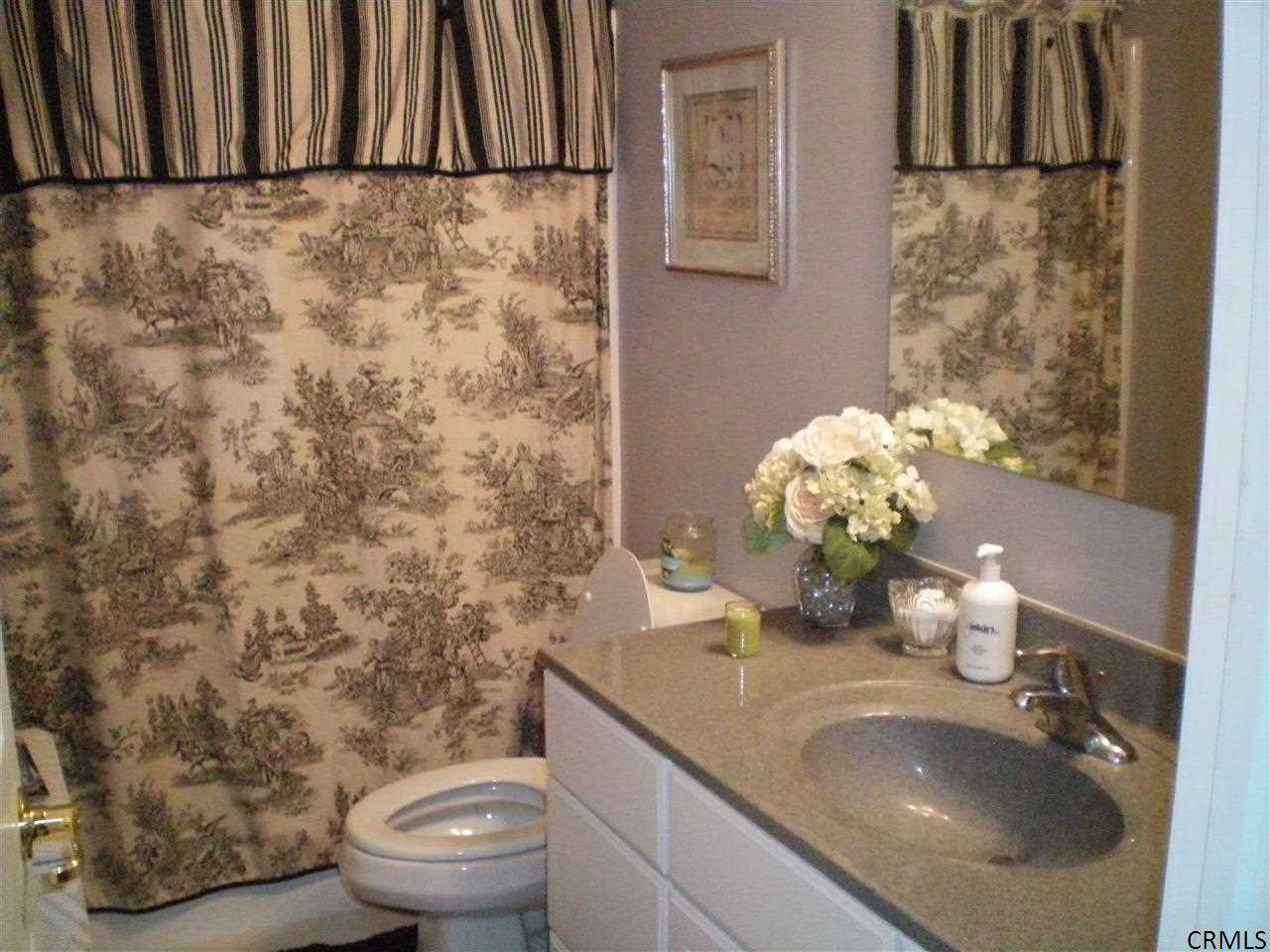 256 Colebrook Road Gansevoort, NY 12831 - Photo 19 of 25 Photo 19