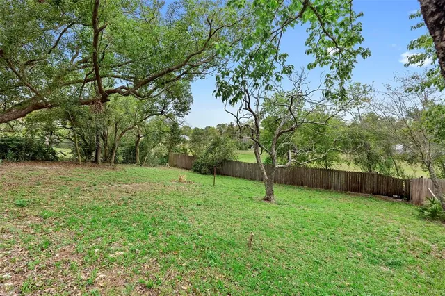 a view of a yard with a tree