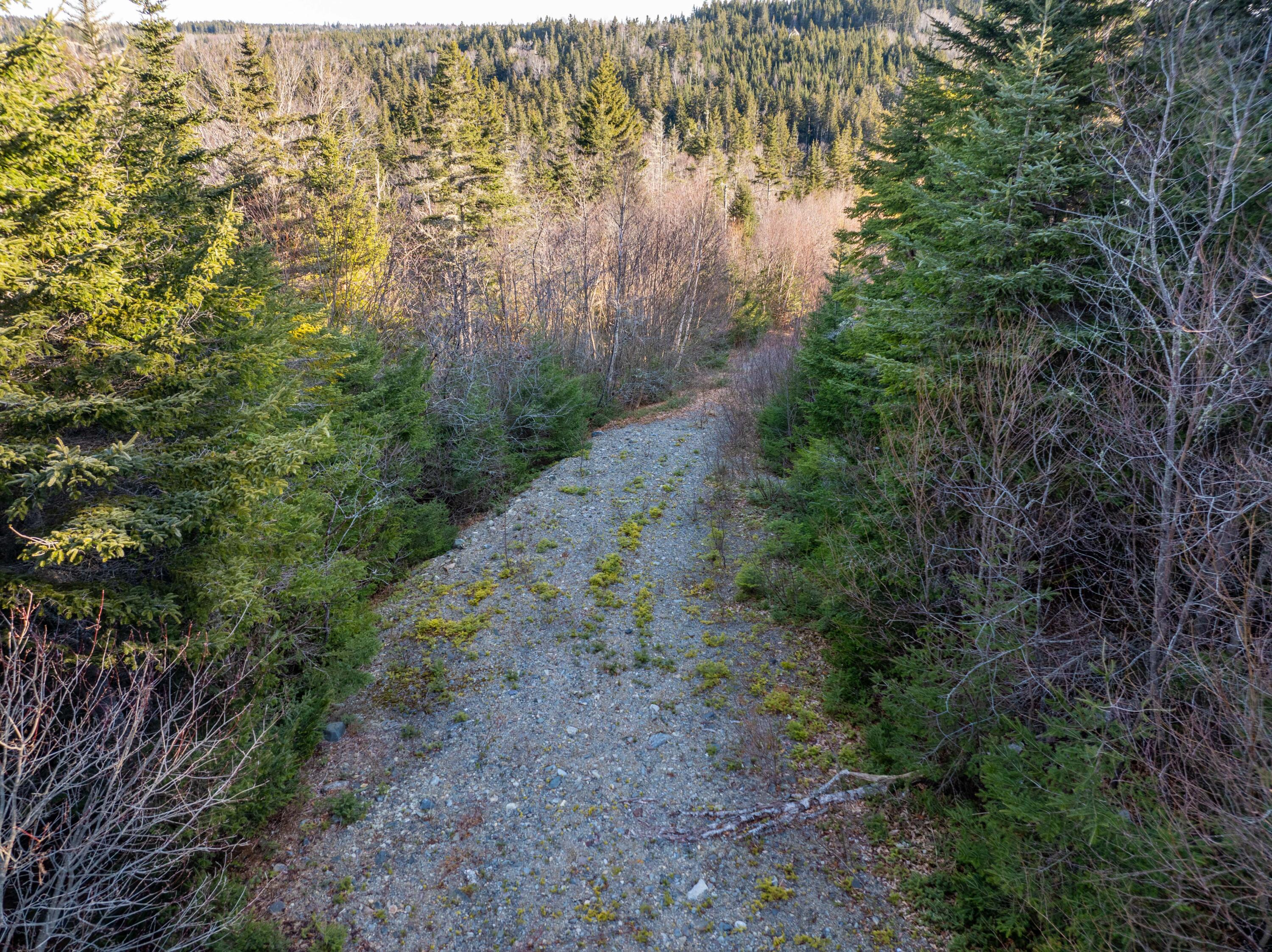 142 Destiny Bay Road Cutler, ME 04626 - Photo 2 of 30 3-19-24 Destiney Bay Rd. Lot in Cutler (