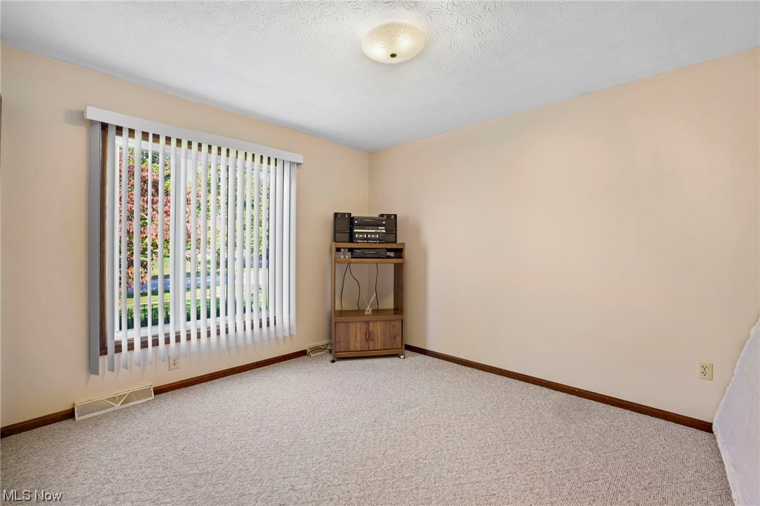985 Clark Road Wadsworth, OH 44281 - Photo 24 of 28 Empty room featuring light carpet, a textured ceiling, and a wealth of natural light
